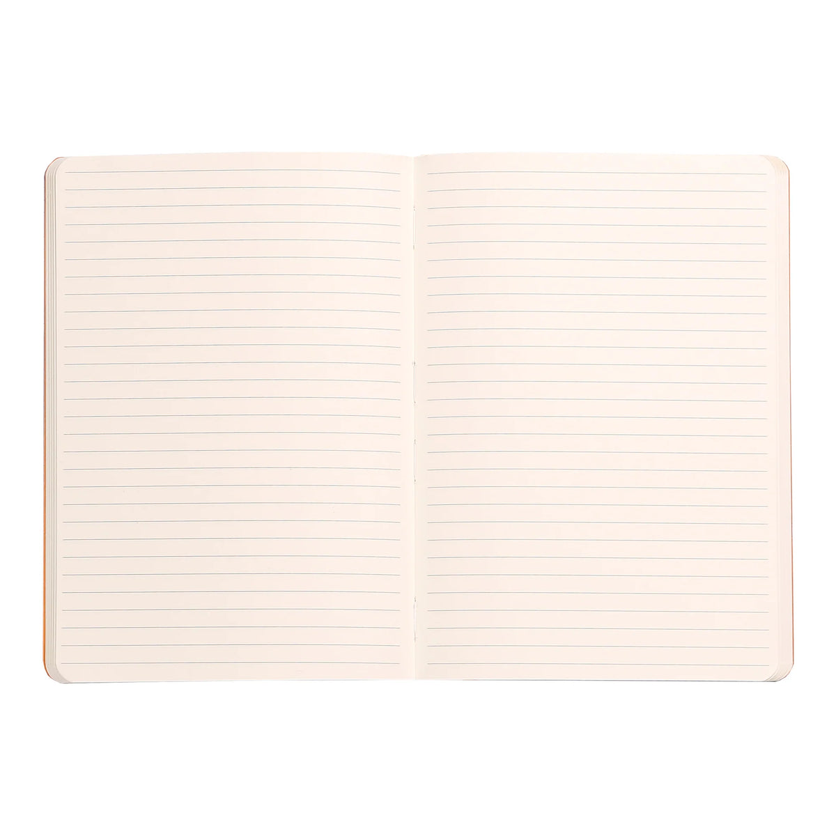 Rhodiarama Classic Softcover Notebook A5 Lined Gold