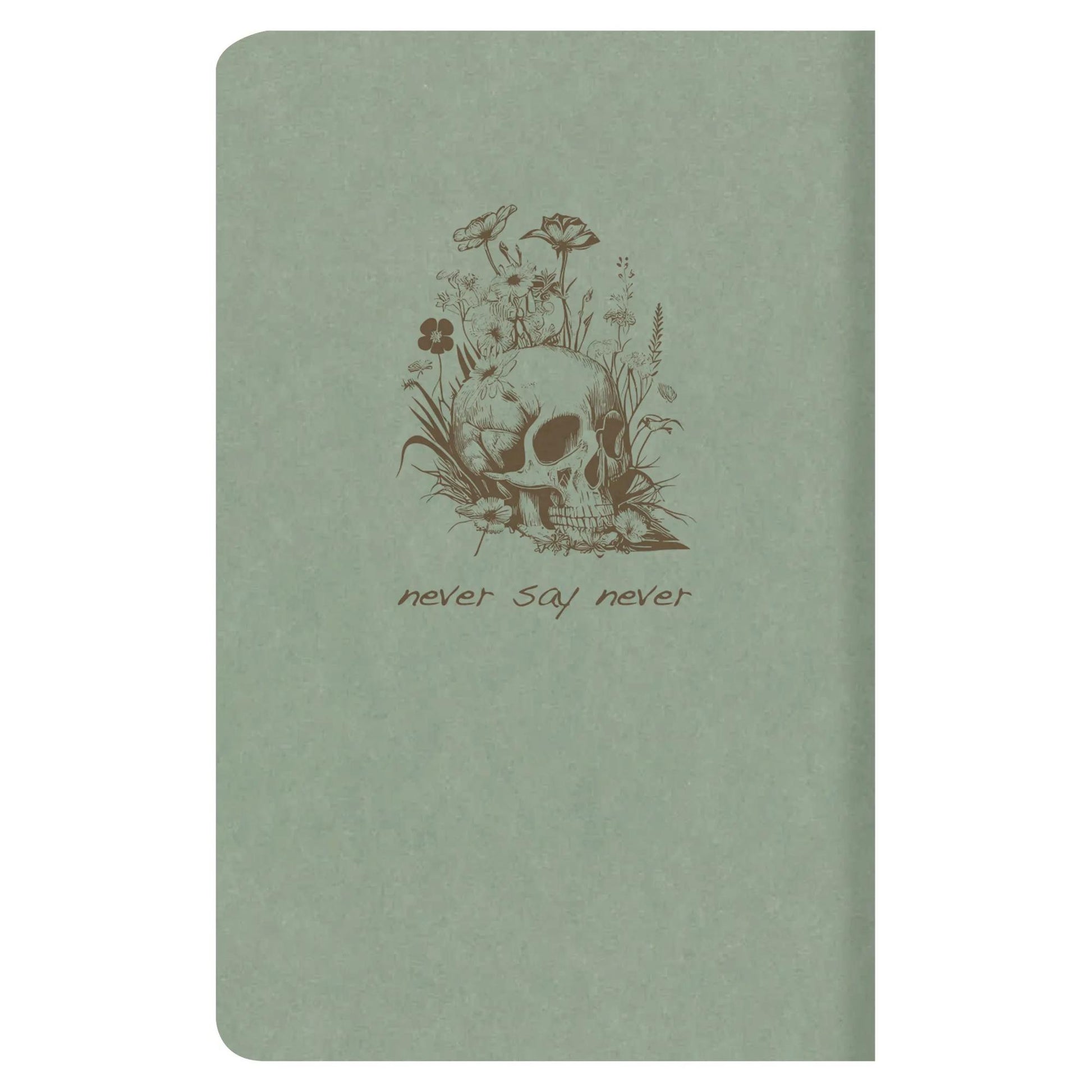 Clairefontaine Flying Spirit Cahier Notebook A6+ Lined Eucalyptus Green (5 Rear Cover Designs)