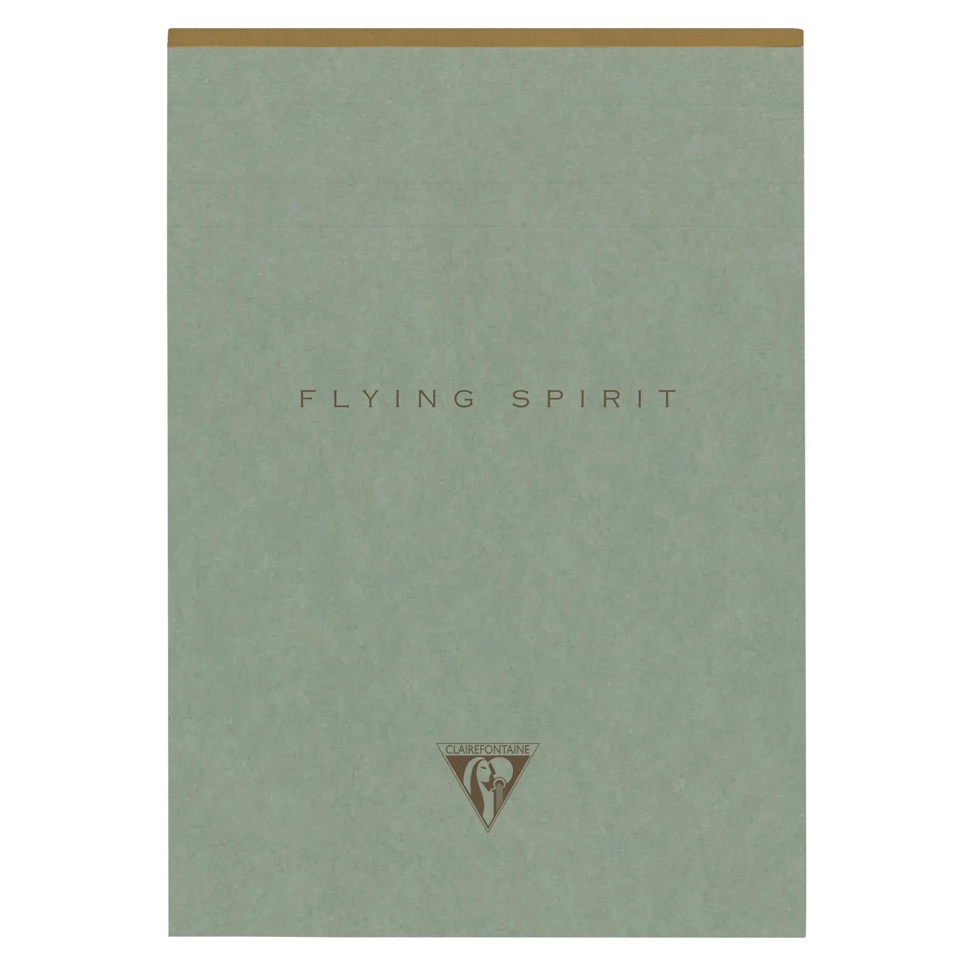 Clairefontaine Flying Spirit Notepad A5 Lined Eucalyptus Green