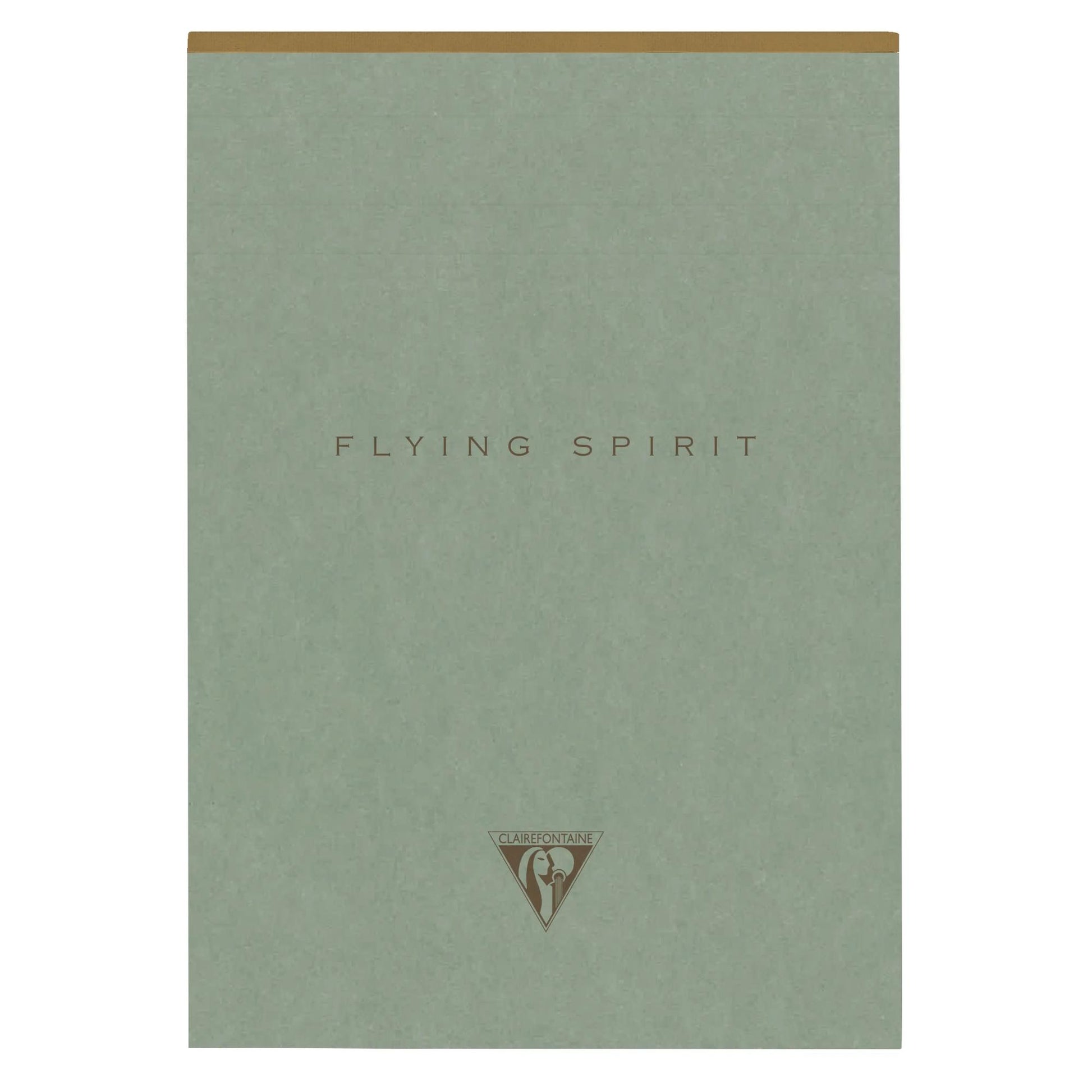 Clairefontaine Flying Spirit Notepad A5 Lined Eucalyptus Green