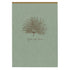 Clairefontaine Flying Spirit Notepad A5 Lined Eucalyptus Green