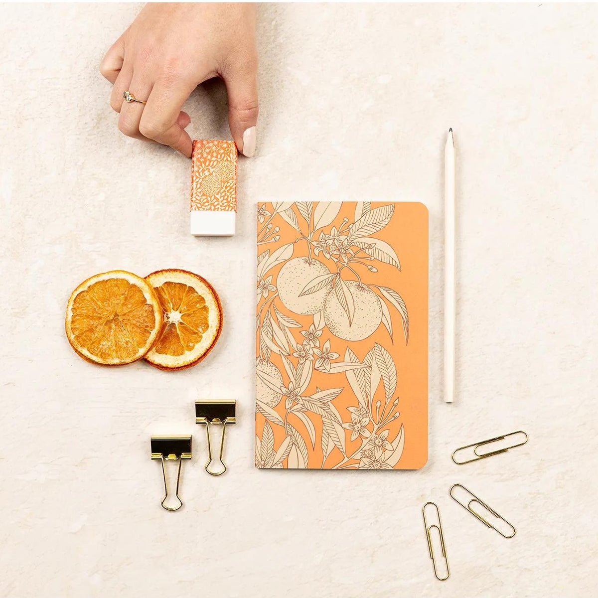 Clairefontaine Garden of Senses Stationery Kit
