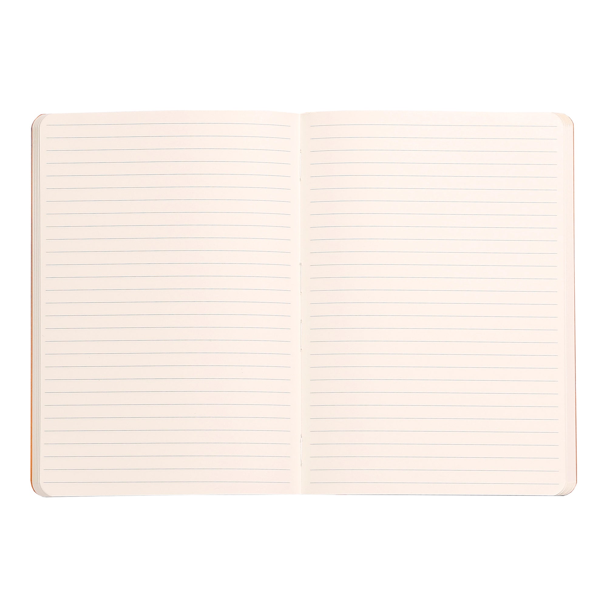 Rhodiarama Classic Softcover Notebook A5 Lined Titanium