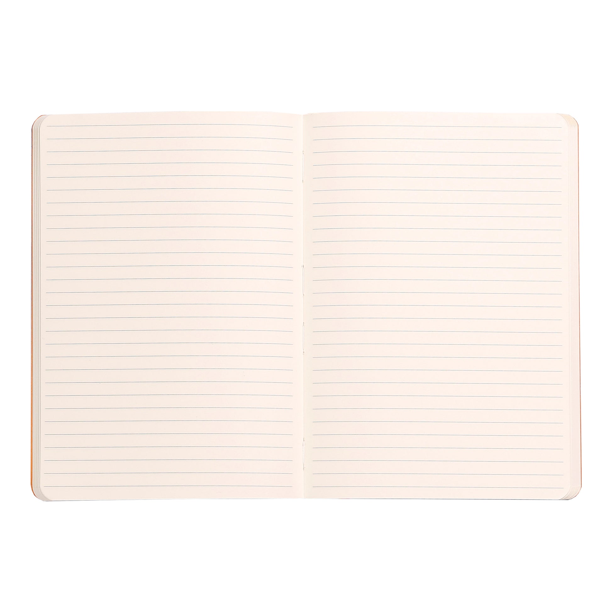 Rhodiarama Classic Softcover Notebook A5 Lined Titanium