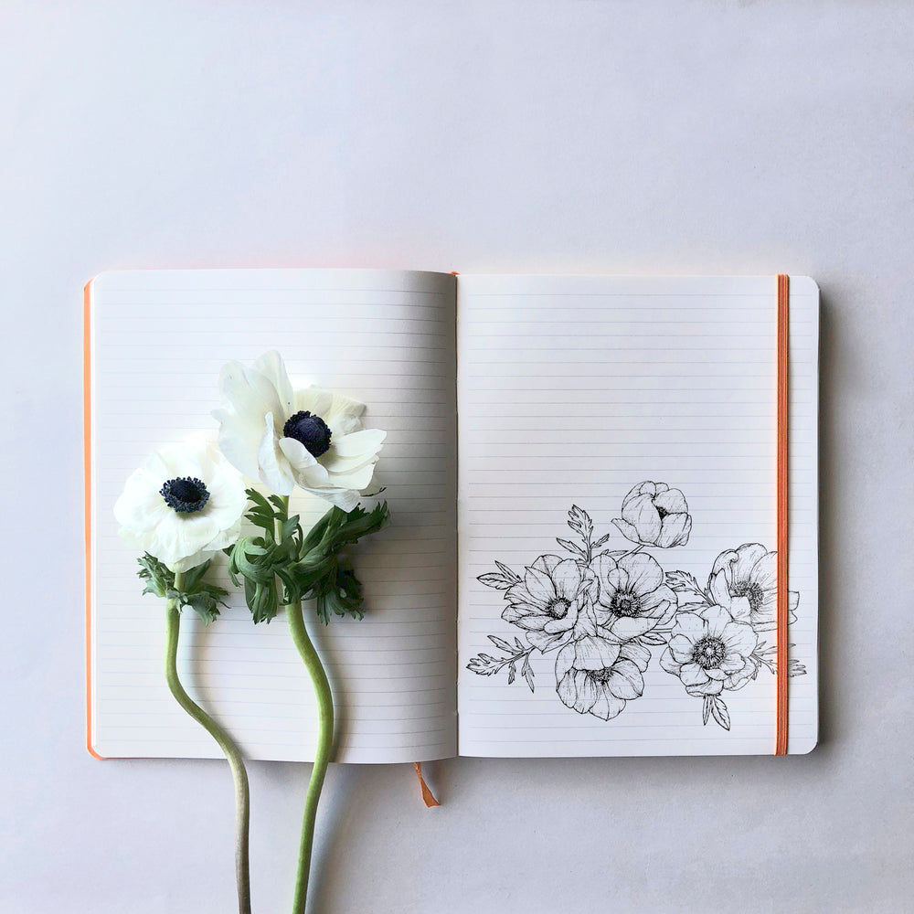 Rhodiarama Classic Softcover Notebook A5 Lined Poppy Red