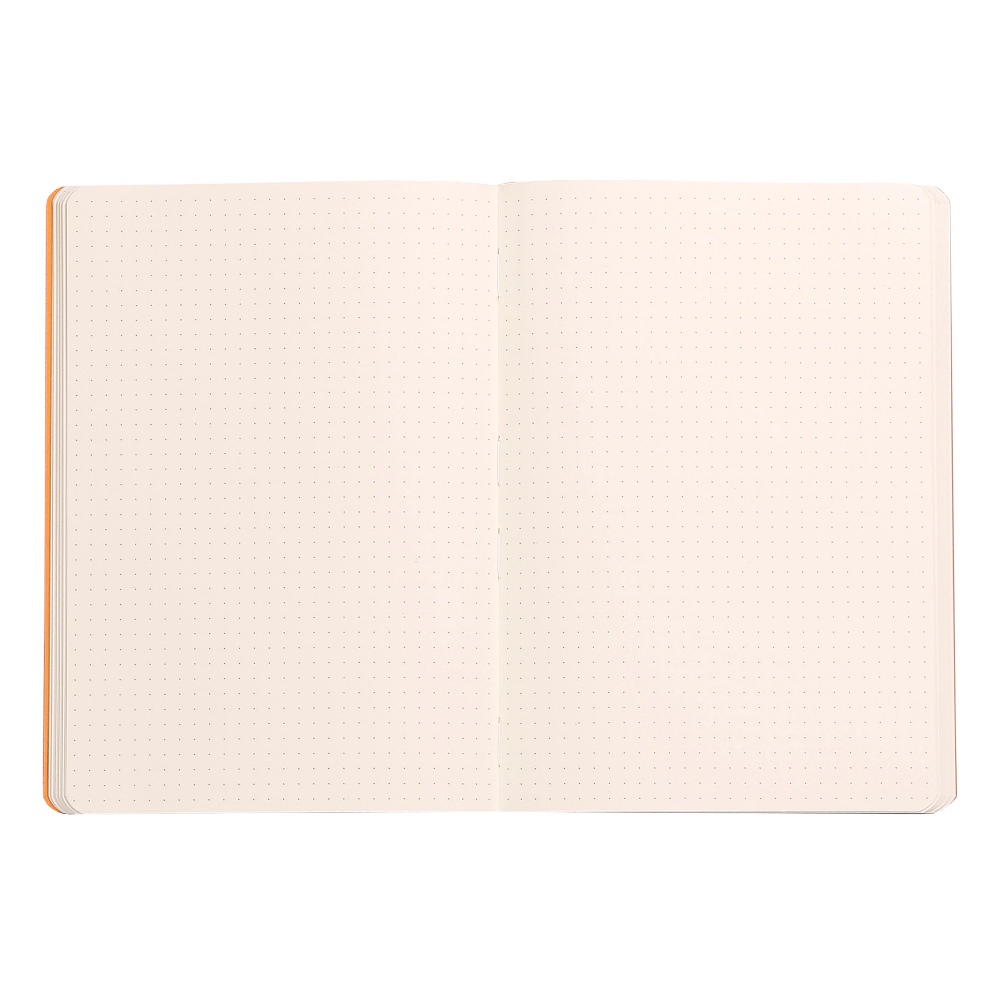 Rhodiarama Classic Softcover Notebook A5 Dot Grid Titanium