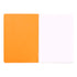 Rhodia Cahier Notebook A5 Dot Grid Orange