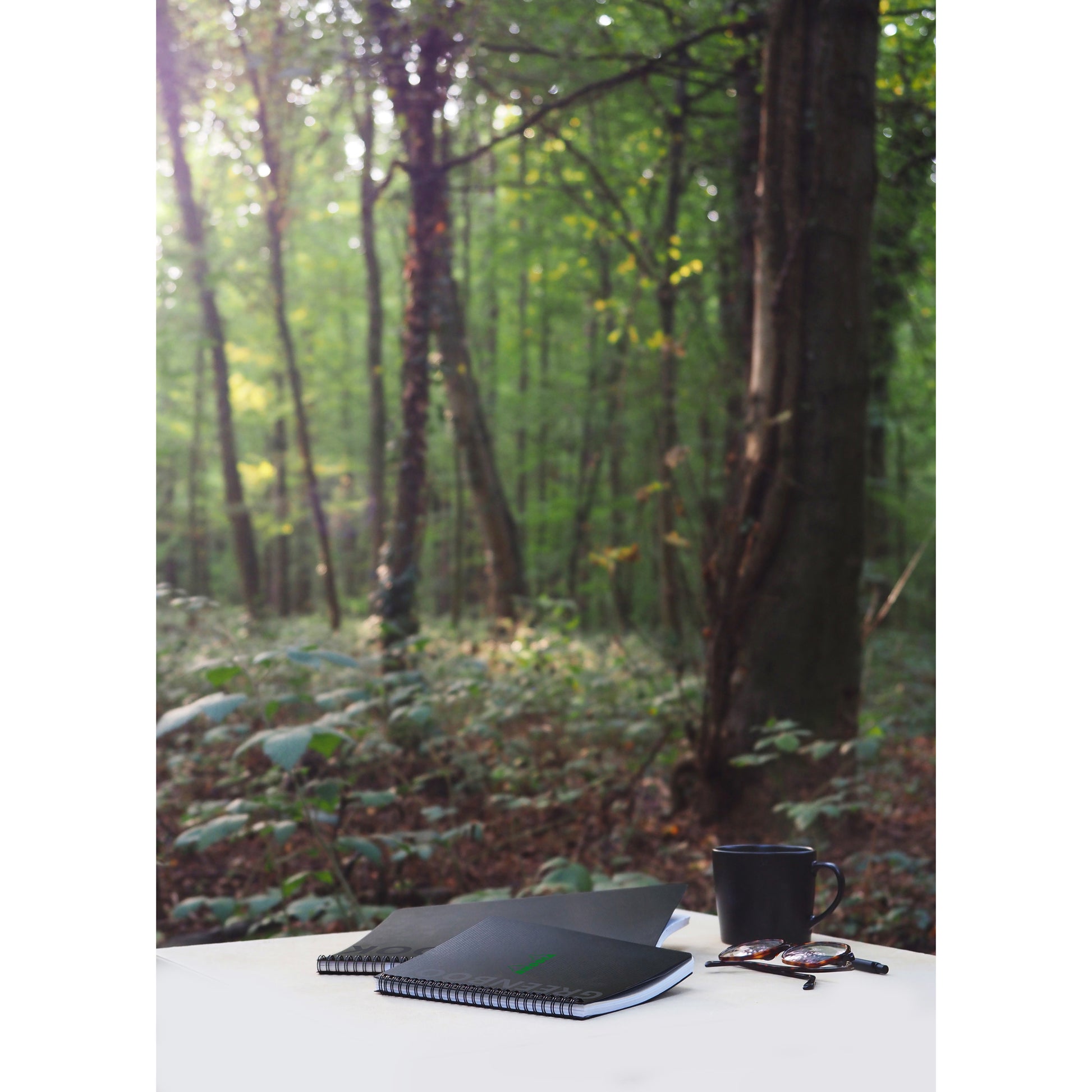 Rhodia Greenactive Wirebound GreenBook 100% Recycled A4+ Grid