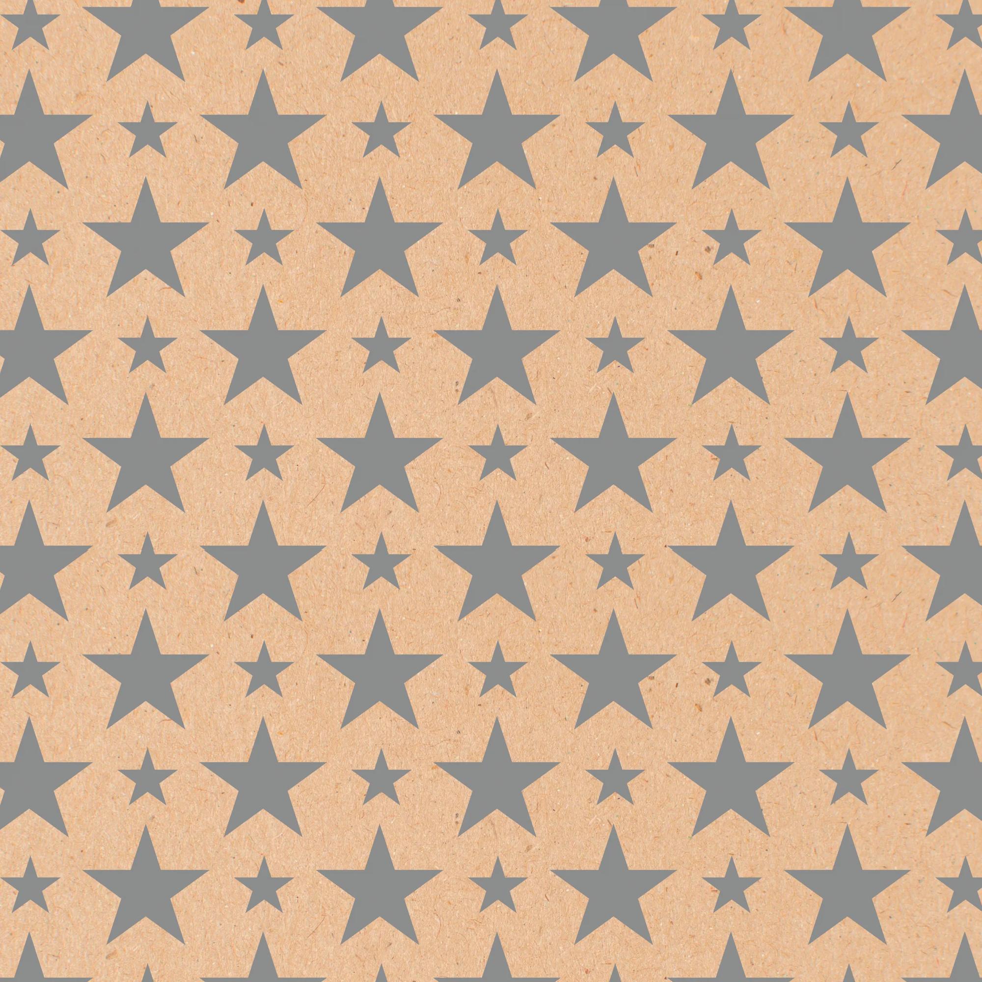 Clairefontaine Wrapping Paper Counter Roll 50 m x 70 cm Silver Stars Kraft