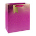 Eurowrap Gift Bag Ombre Pink Large