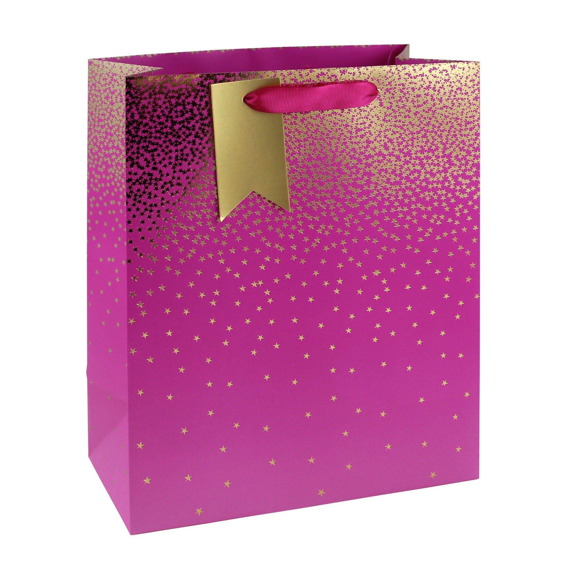 Eurowrap Gift Bag Ombre Pink Large
