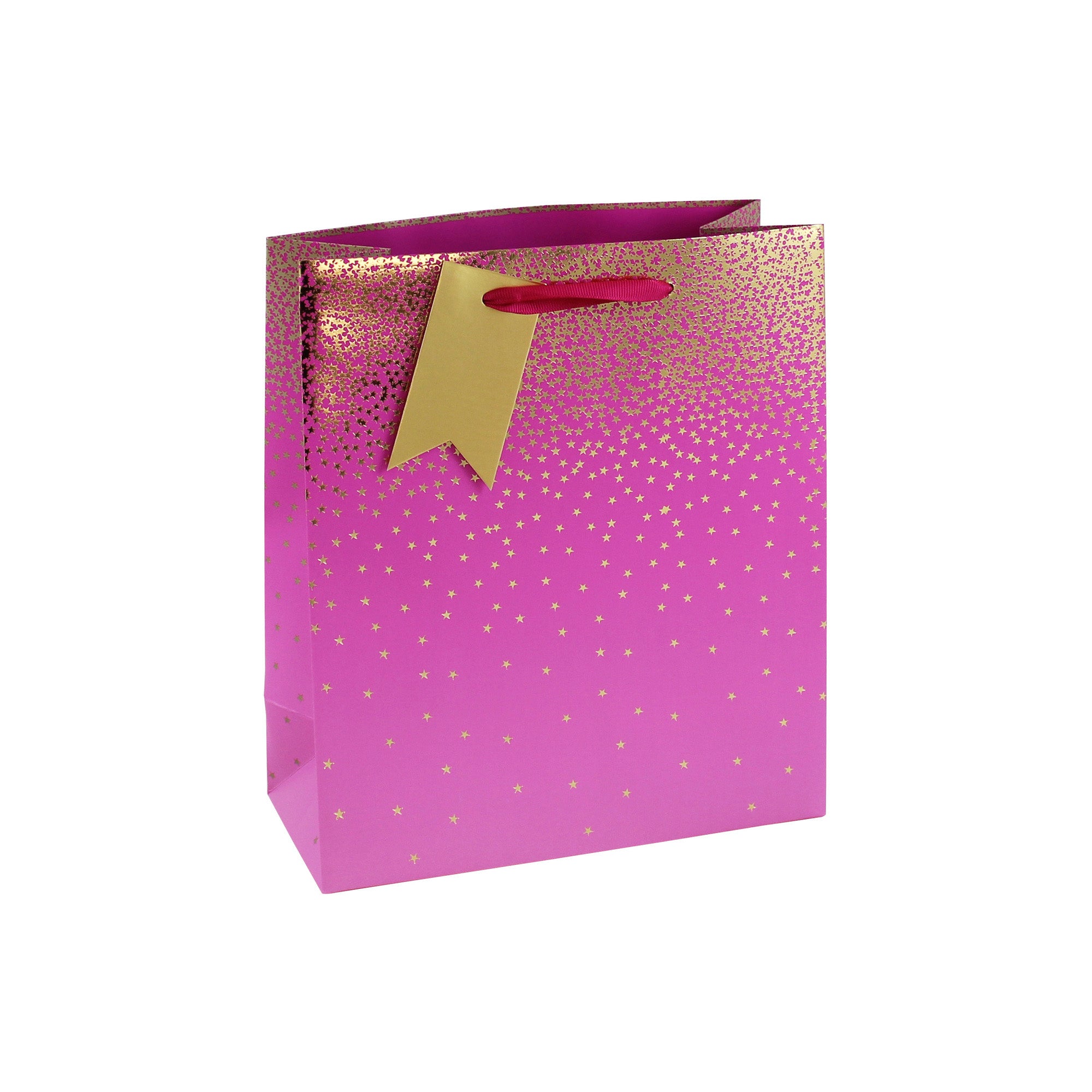 Eurowrap Gift Bag Ombre Pink Medium