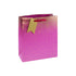 Eurowrap Gift Bag Ombre Pink Medium
