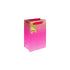 Eurowrap Gift Bag Ombre Pink Small