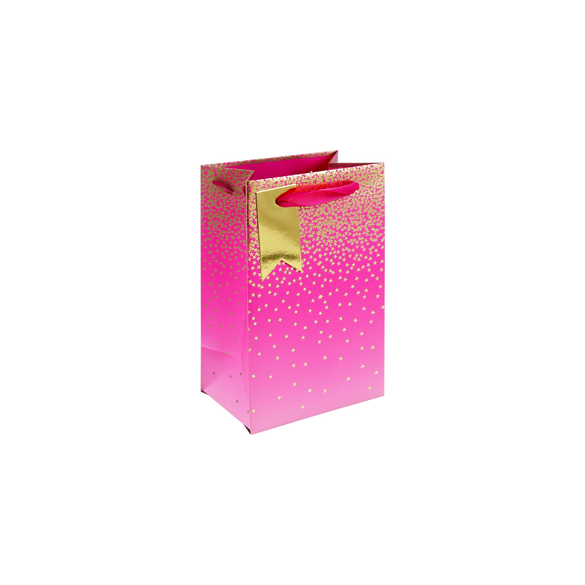 Eurowrap Gift Bag Ombre Pink Small