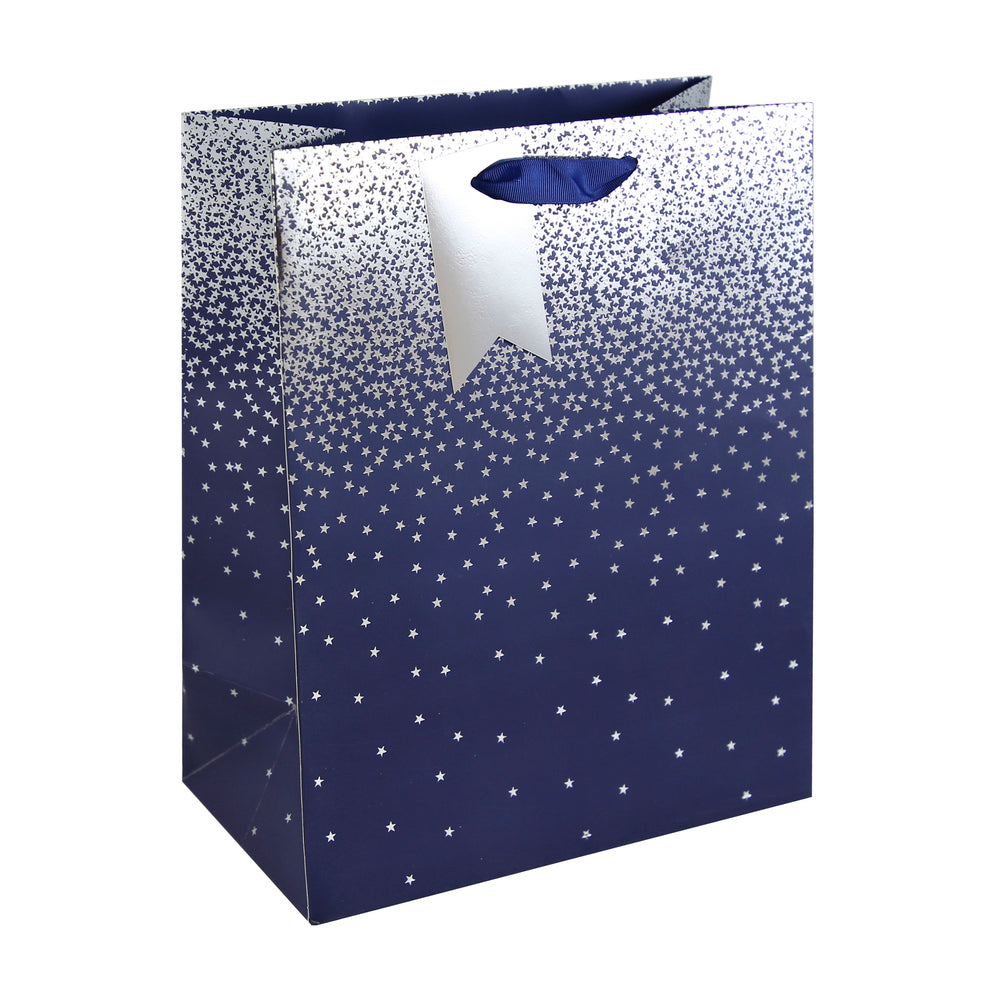 Eurowrap Gift Bag Ombre Navy Large