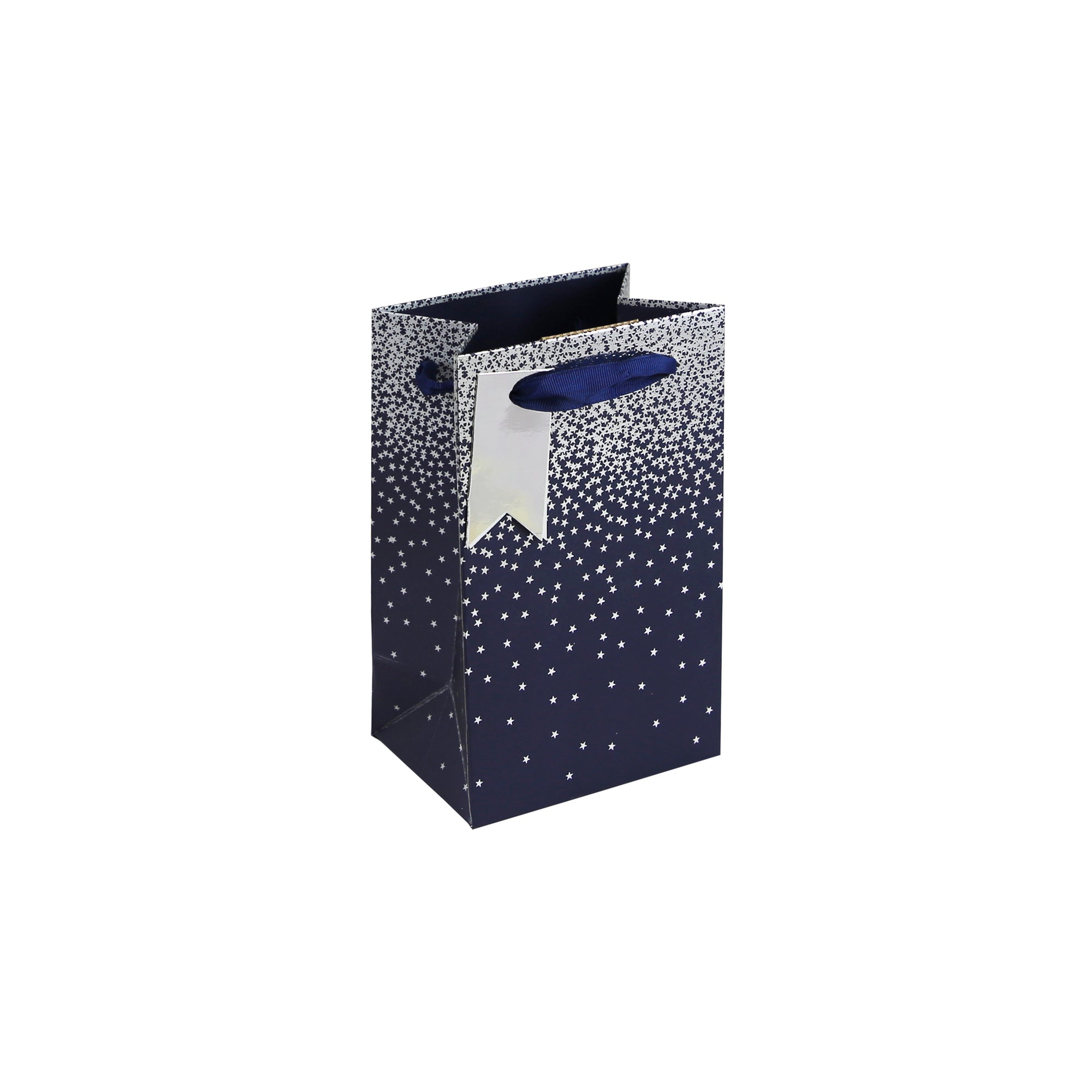 Eurowrap Gift Bag Ombre Navy Small