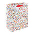 Eurowrap Gift Bag Multi Dots Large