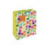 Eurowrap Gift Bag Bright Stars Medium