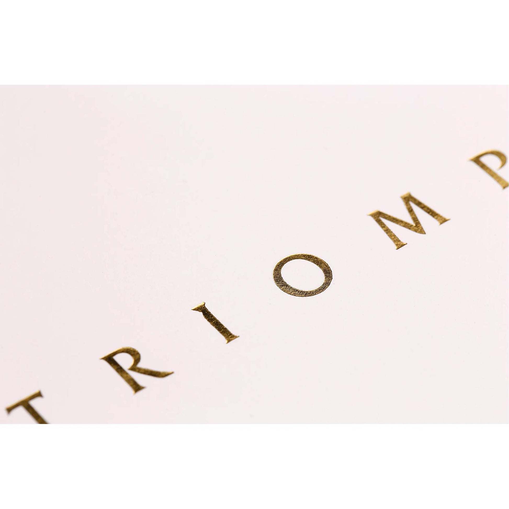 Clairefontaine Triomphe Notebook Gold A5 Lined