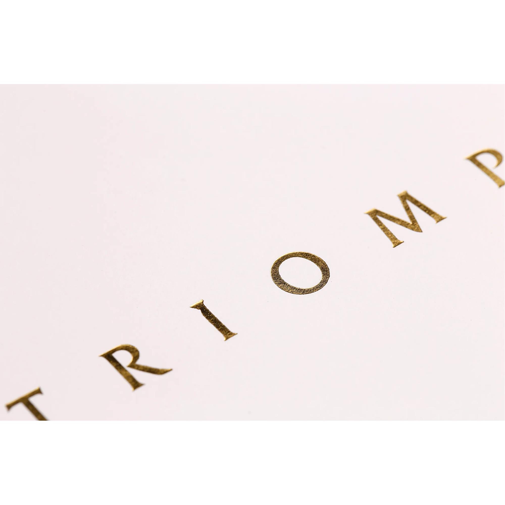 Clairefontaine Triomphe Notebook Gold A4 Lined