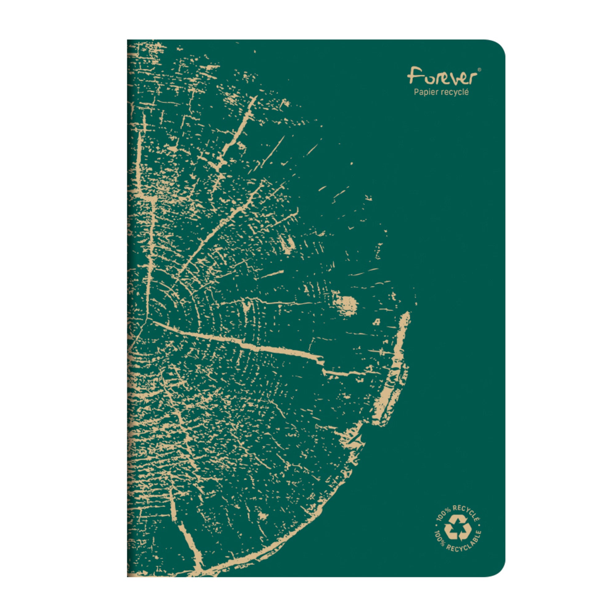 Clairefontaine Forever 100% Recycled Stapled Notebook A4 Lined Green