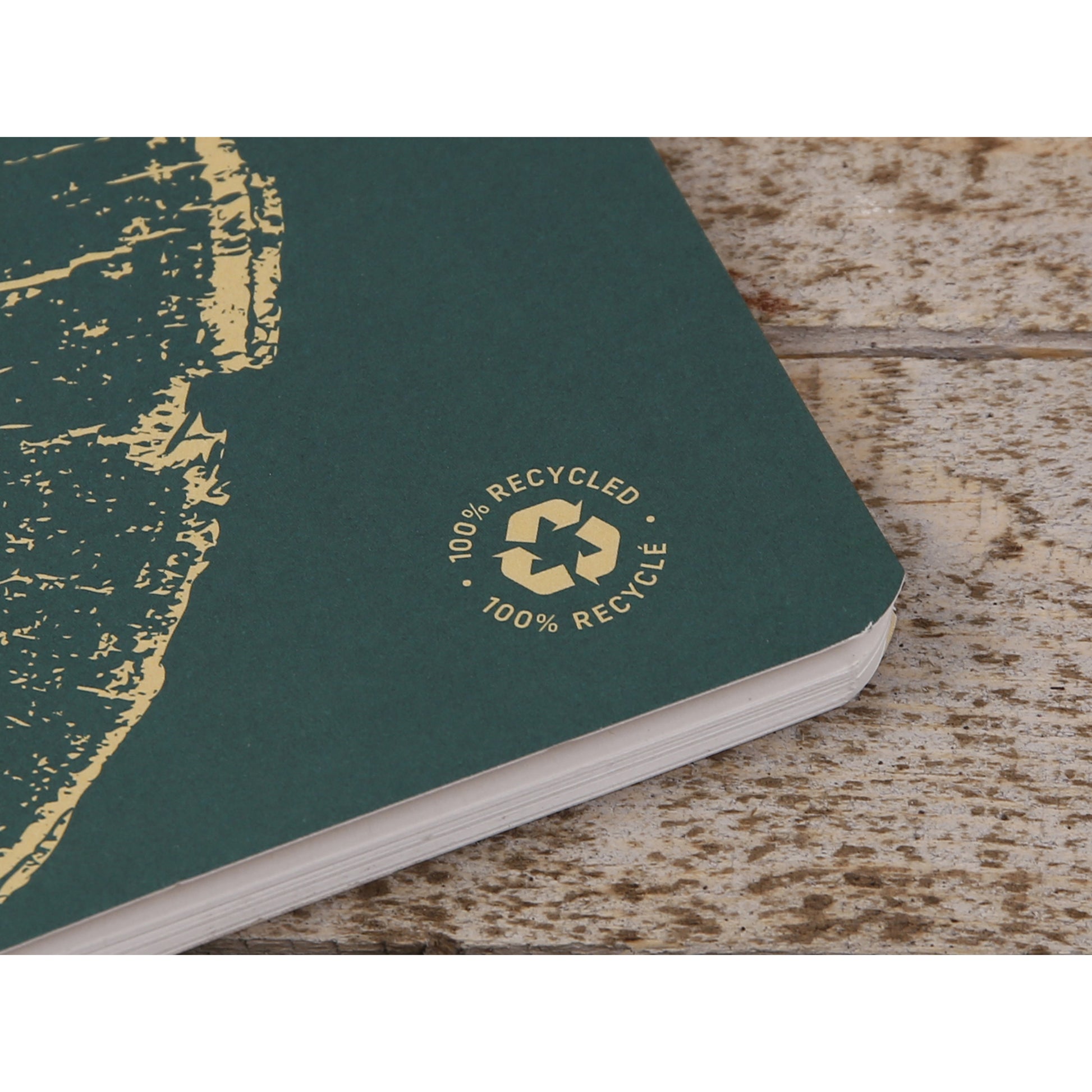 Clairefontaine Forever 100% Recycled Stapled Notebook A5 Lined Green