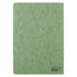 Clairefontaine Age Bag Essentials Duo Pack of 2 Stapled Notebooks A4 Lined Green