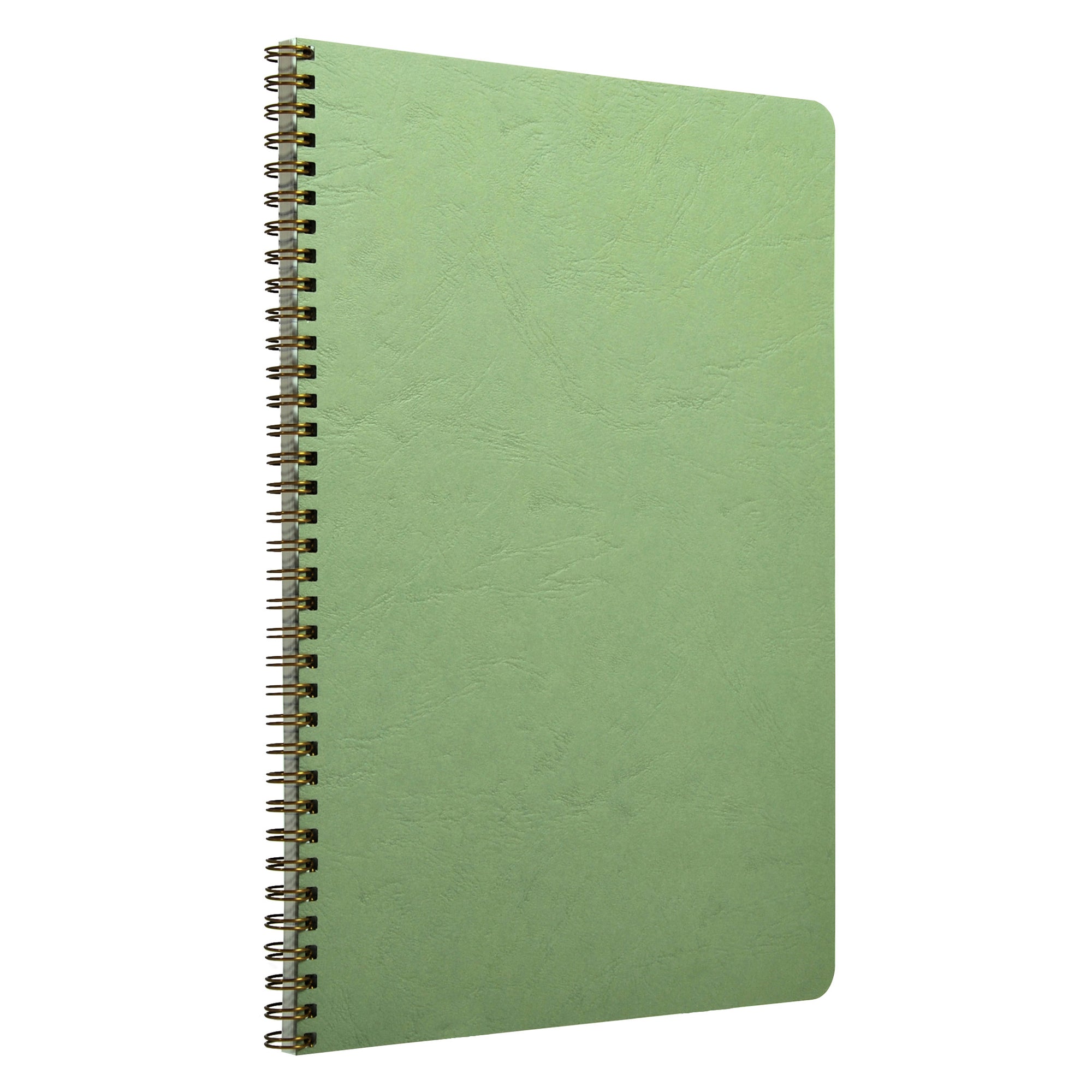 Clairefontaine Age Bag Essentials Wirebound Notebook A4 Lined Green
