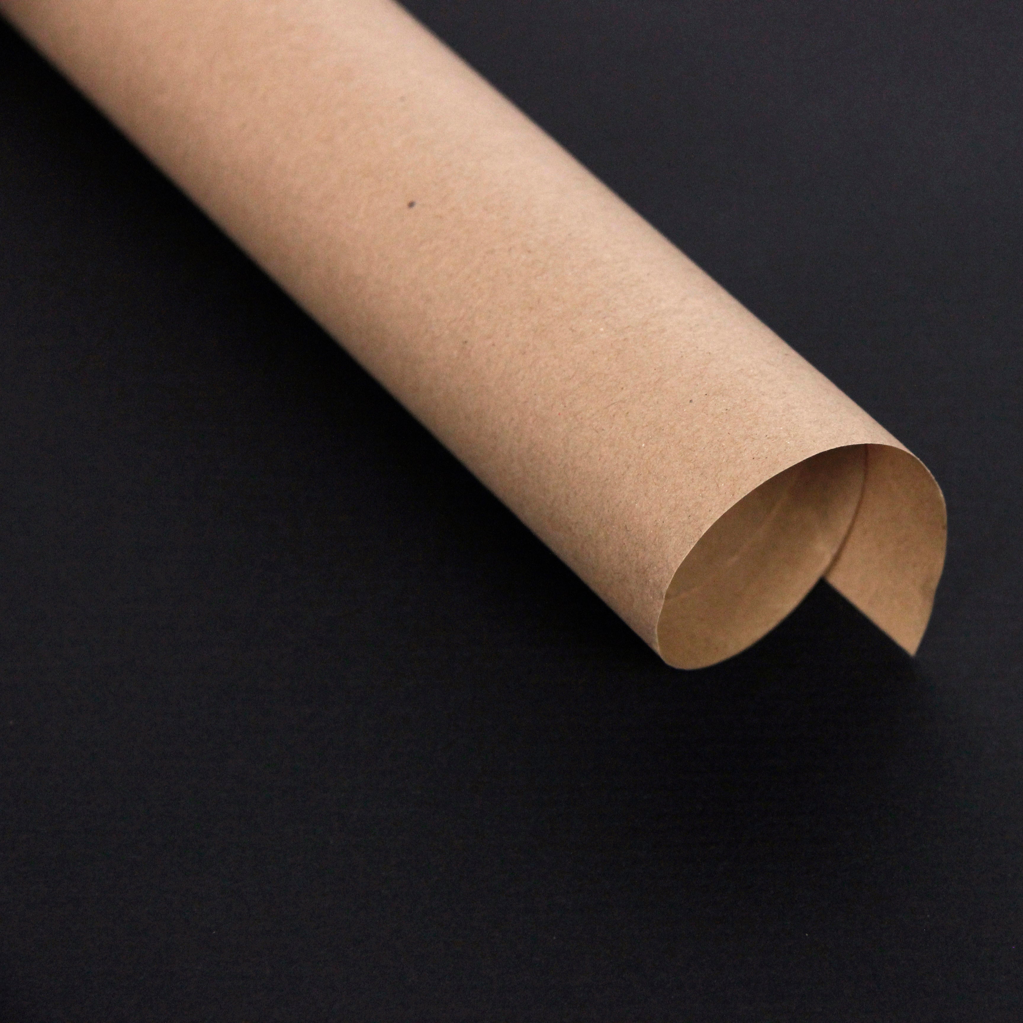 Clairefontaine Wrapping Paper Roll (3 Metres) Raw Kraft
