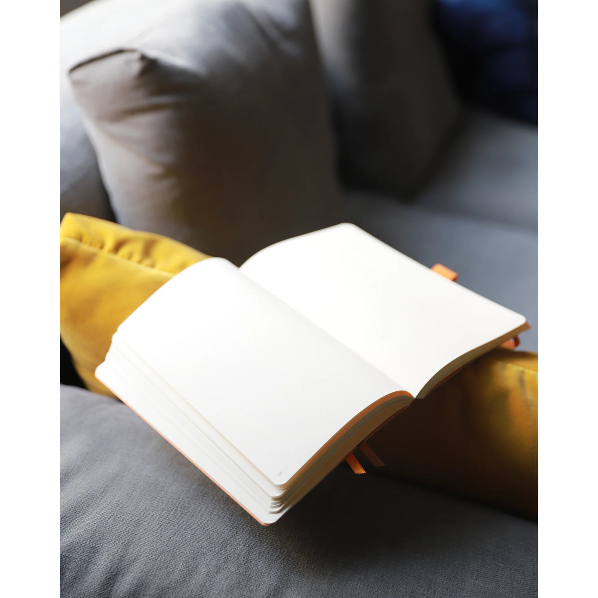 Rhodiarama Classic Softcover Notebook A5 Lined Gold