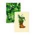 ATWS A6 Notebooks Duo Pack of 2 Gardening Boots