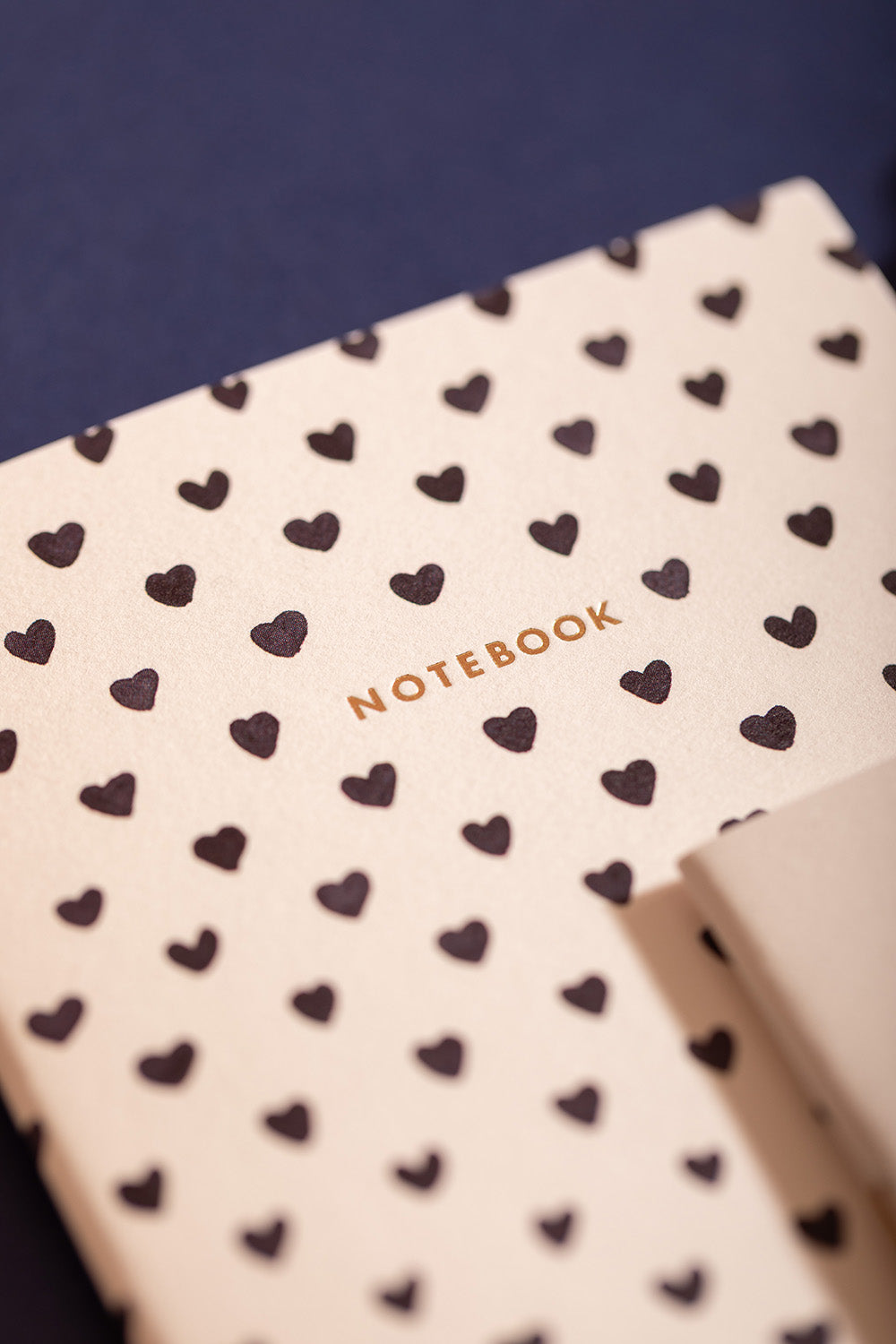 ATWS A6 Notebooks Duo Pack of 2 Dalmatian