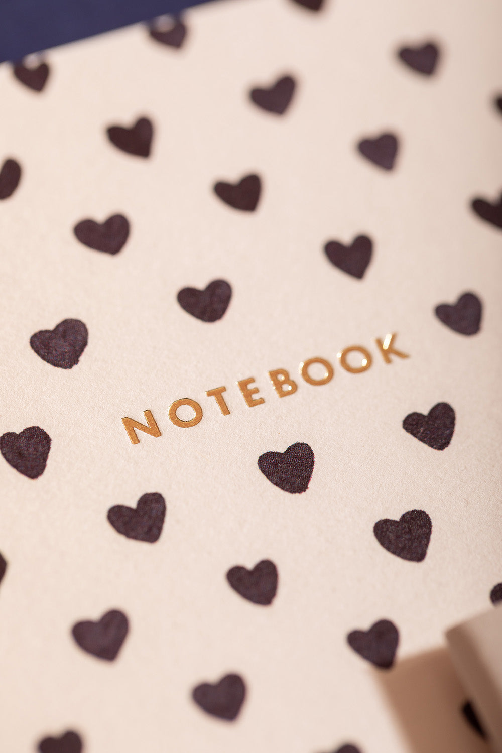 ATWS A6 Notebooks Duo Pack of 2 Dalmatian