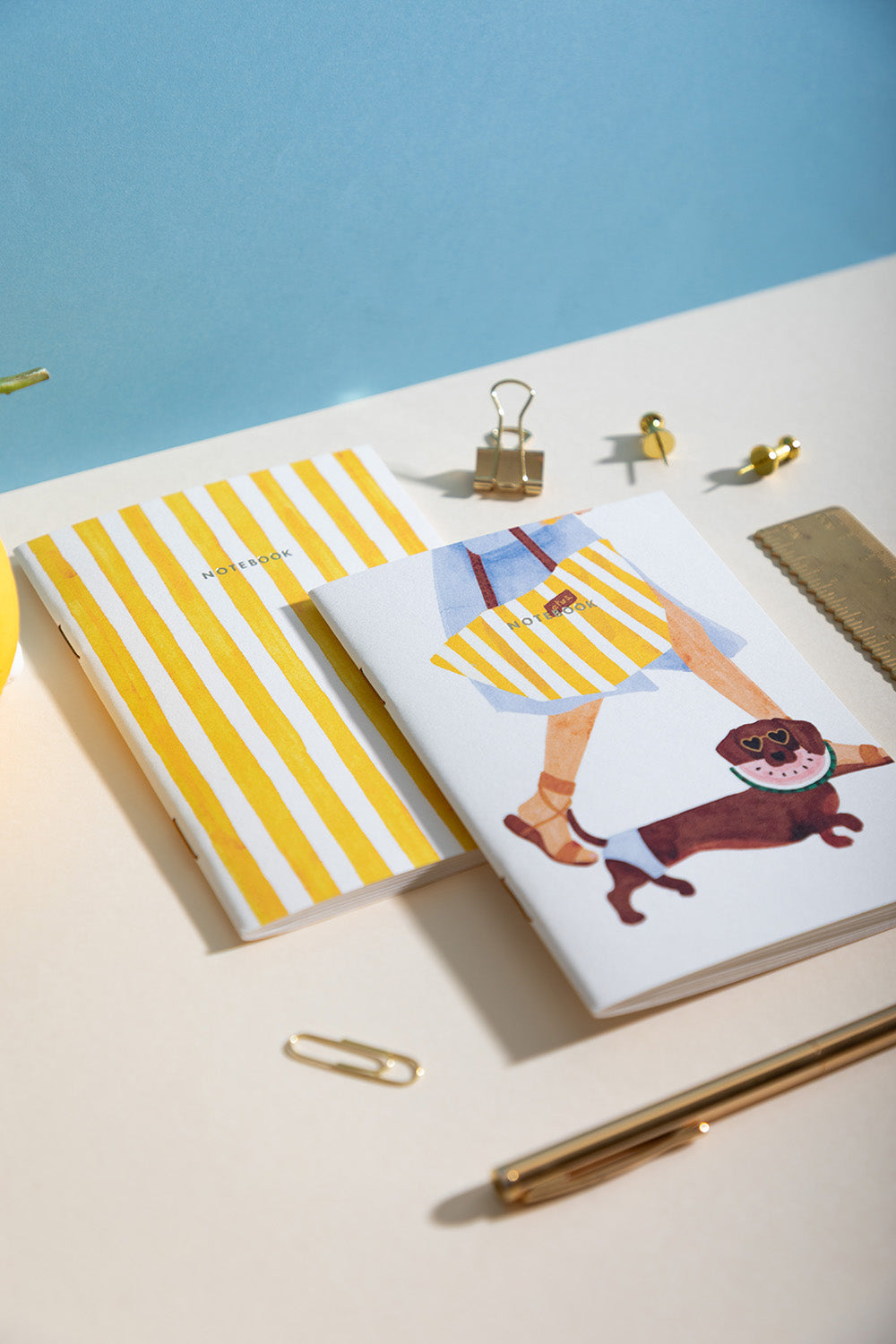 ATWS A6 Notebooks Duo Pack of 2 Summer Daschund