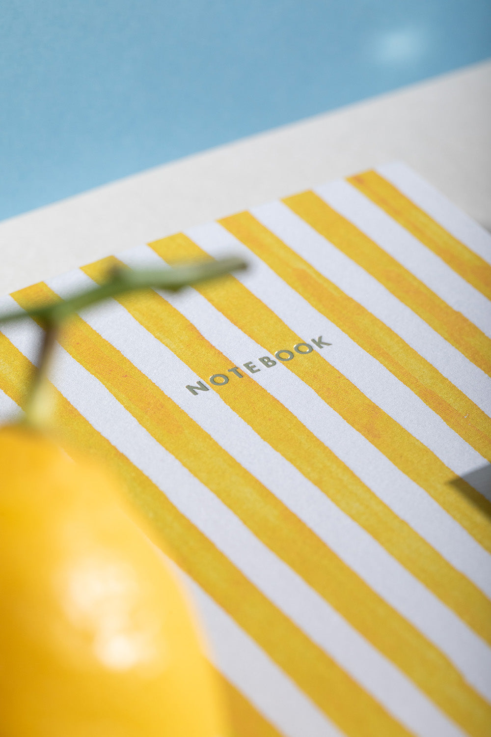 ATWS A6 Notebooks Duo Pack of 2 Summer Daschund