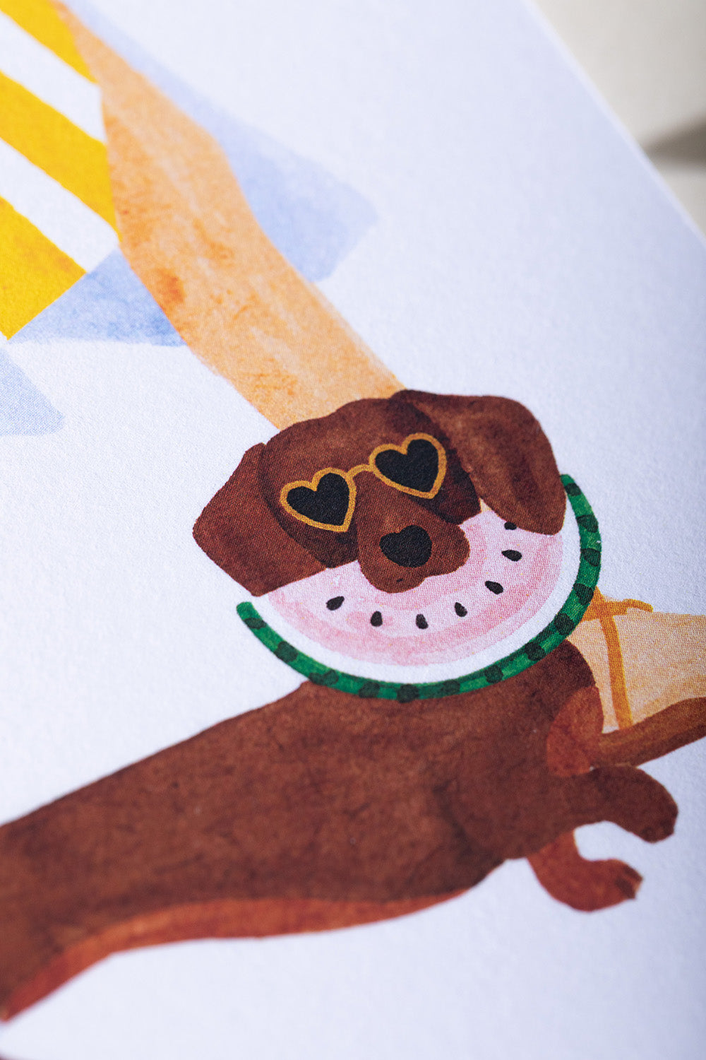 ATWS A6 Notebooks Duo Pack of 2 Summer Daschund