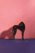 ATWS Enamel Pin Greyhound