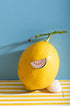 ATWS Enamel Pin Watermelon