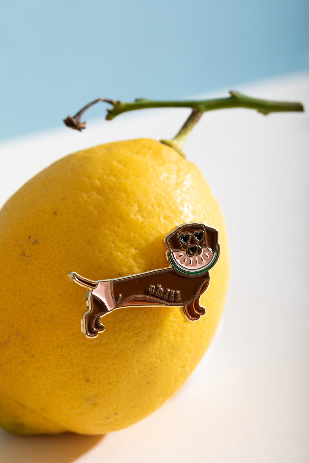 ATWS Enamel Pin Chill Doggy