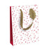 Clairefontaine Gift Bag Christmas Stars Large