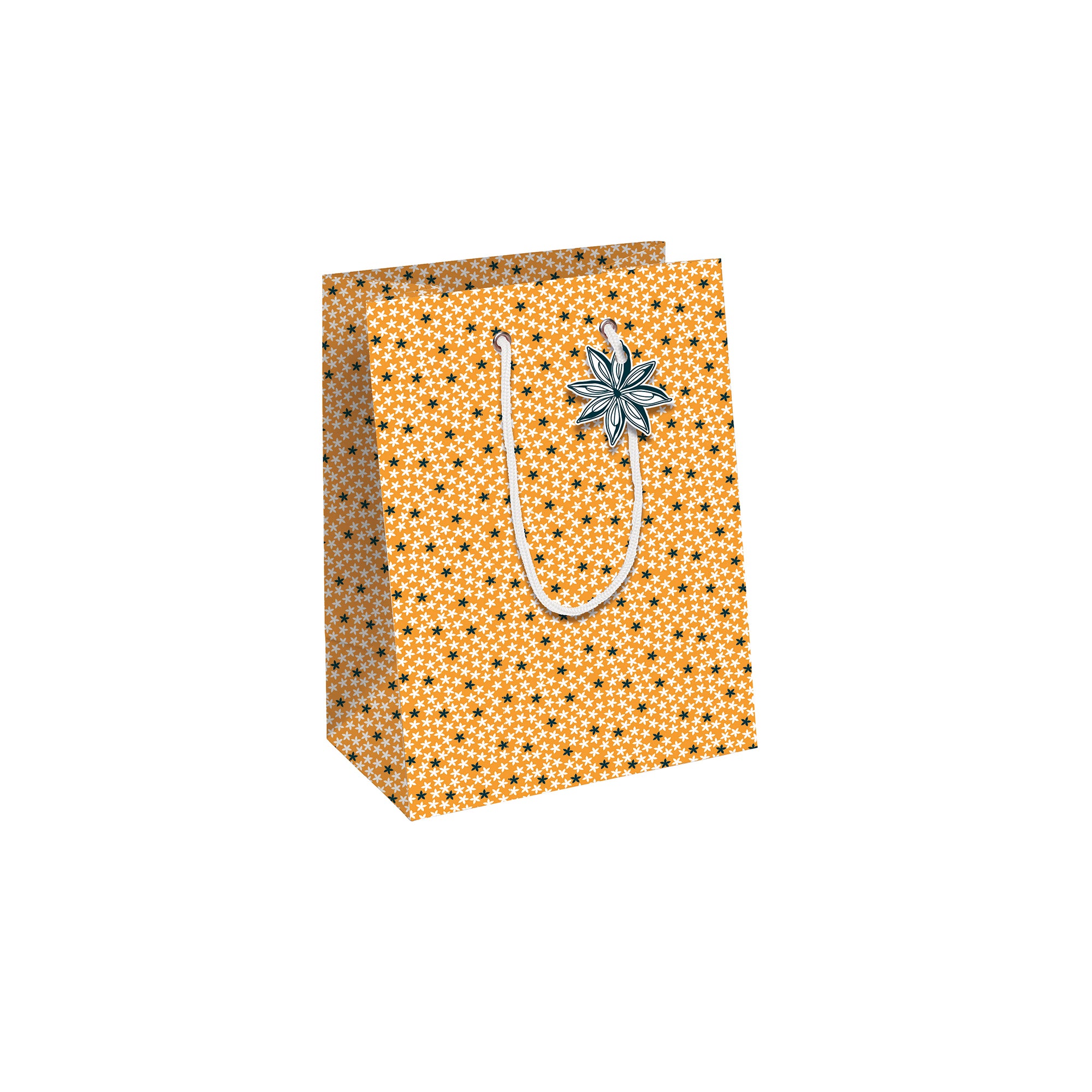 Clairefontaine Gift Bag Citrus Medium