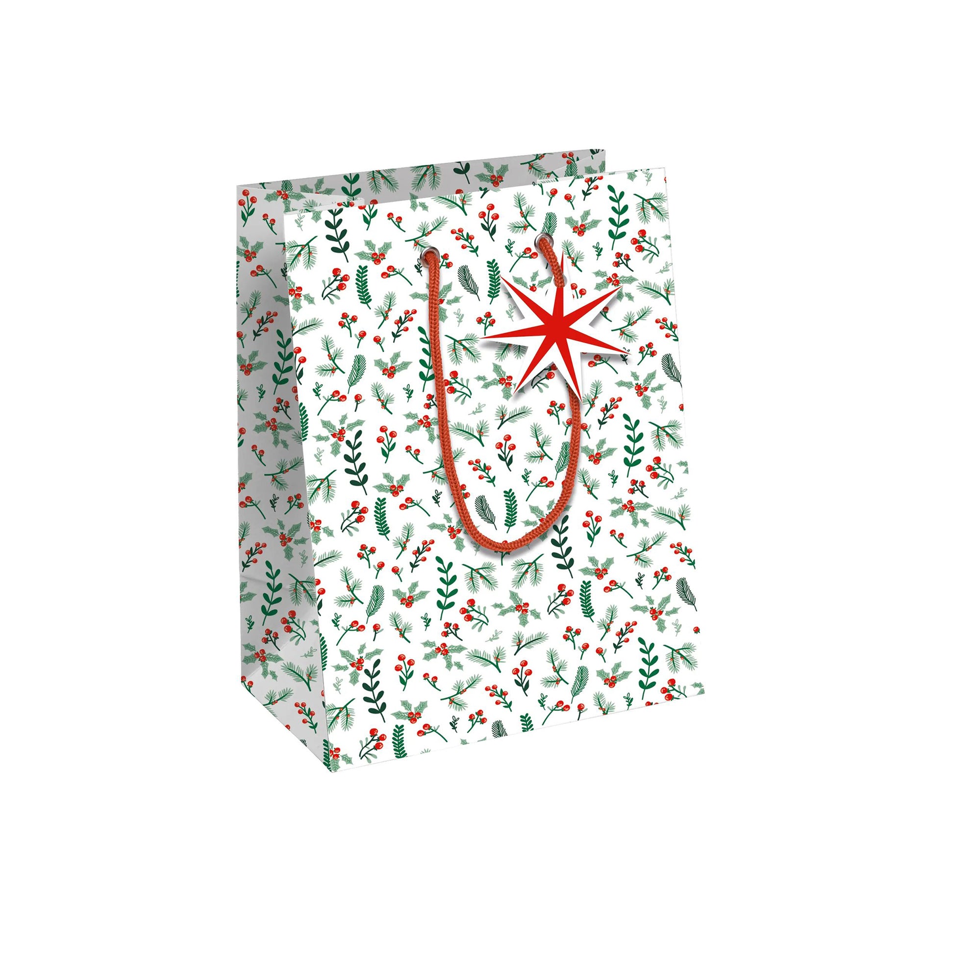 Clairefontaine Gift Bag Cosy Christmas Medium