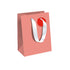 Clairefontaine Gift Bag Festive Fun Medium